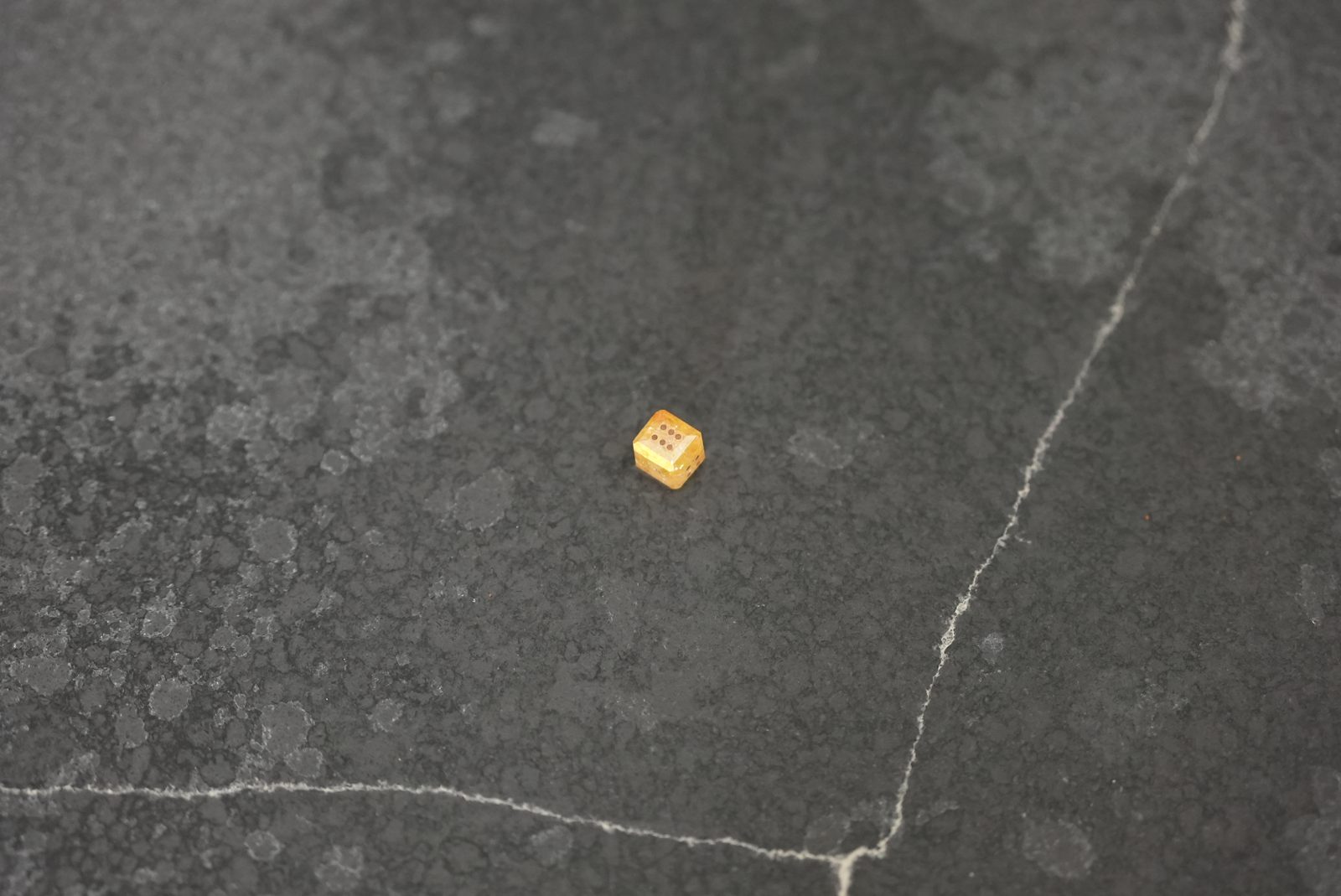 The Canary Die — flat